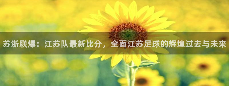 苏浙联爆：江苏队最新比分，全面江苏足球的辉煌过去与未来