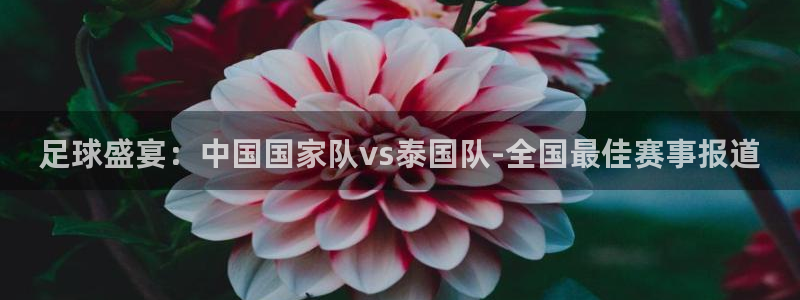足球盛宴：中国国家队vs泰国队-全国最佳赛事报道