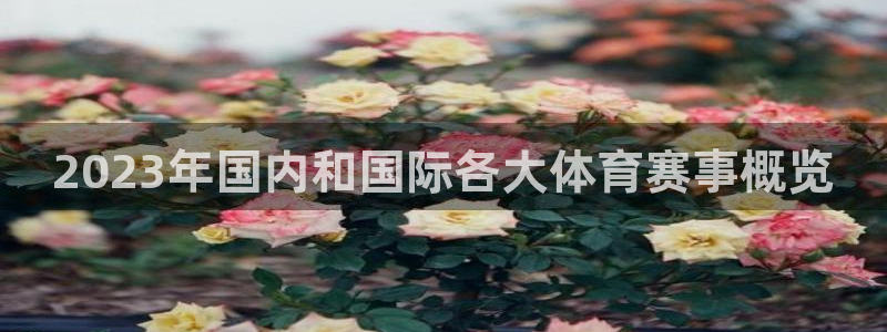 2023年国内和国际各大体育赛事概览