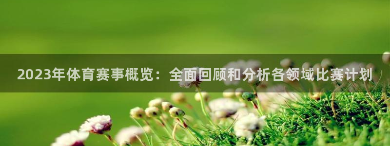 2023年体育赛事概览：全面回顾和分析各领域比赛计划