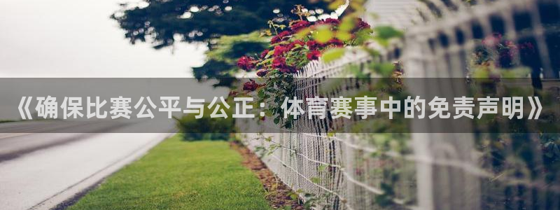 《确保比赛公平与公正：体育赛事中的免责声明》