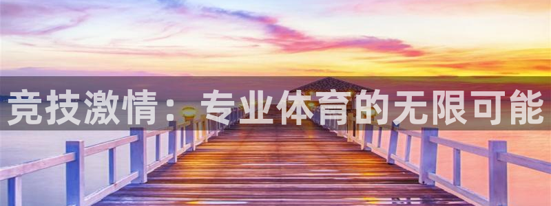 竞技激情：专业体育的无限可能