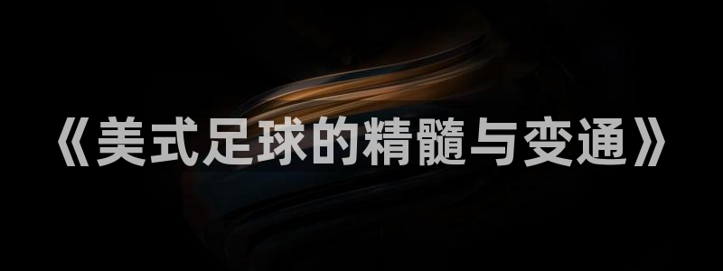 《美式足球的精髓与变通》