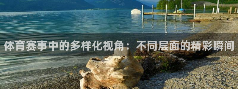 体育赛事中的多样化视角：不同层面的精彩瞬间