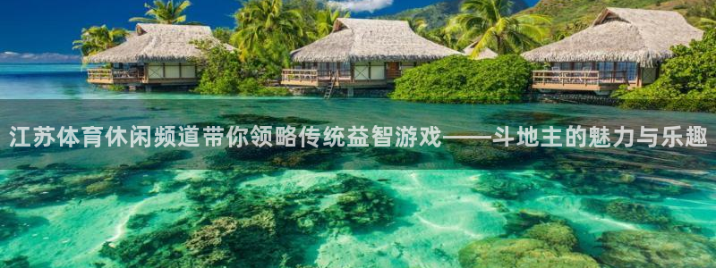 江苏体育休闲频道带你领略传统益智游戏——斗地主的魅力与乐趣