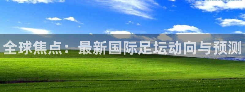全球焦点：最新国际足坛动向与预测