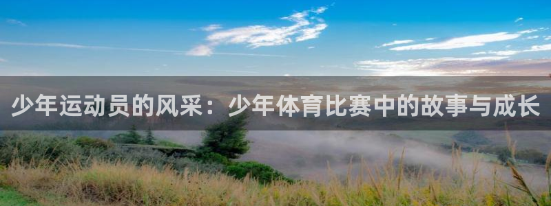 少年运动员的风采：少年体育比赛中的故事与成长
