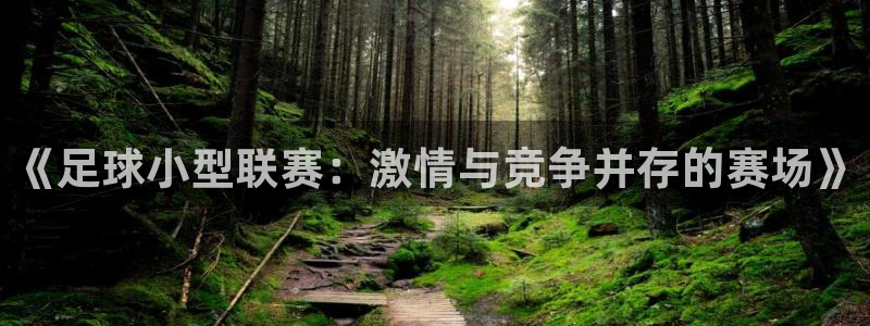 《足球小型联赛：激情与竞争并存的赛场》