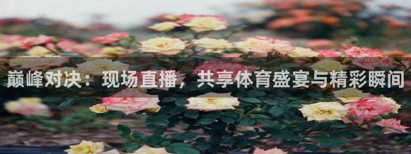 巅峰对决：现场直播，共享体育盛宴与精彩瞬间