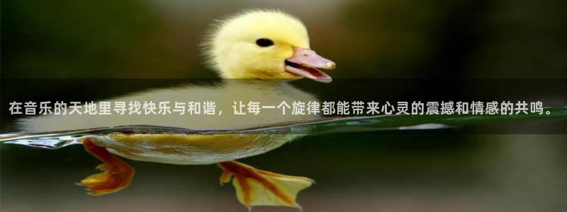 在音乐的天地里寻找快乐与和谐，让每一个旋律都能带来心灵的震撼和情感的共鸣。