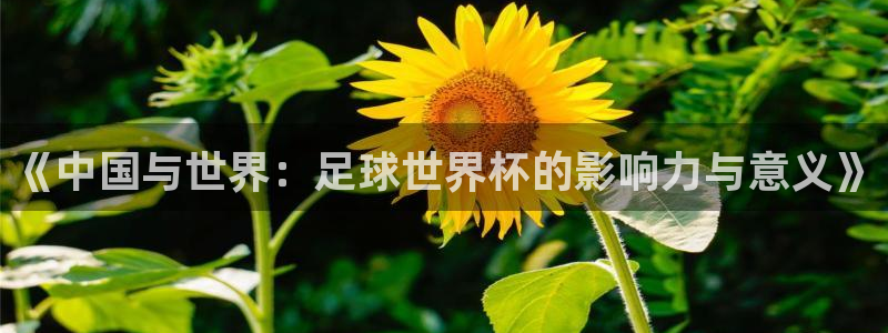 《中国与世界：足球世界杯的影响力与意义》