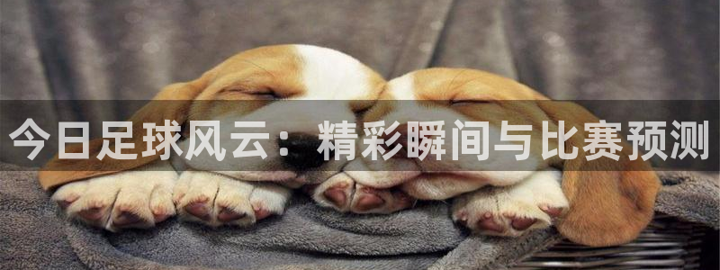 今日足球风云：精彩瞬间与比赛预测