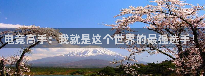 电竞高手：我就是这个世界的最强选手！