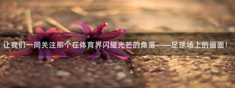 让我们一同关注那个在体育界闪耀光芒的角落——足球场上的画面!