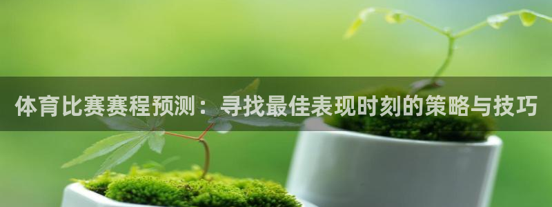 体育比赛赛程预测：寻找最佳表现时刻的策略与技巧
