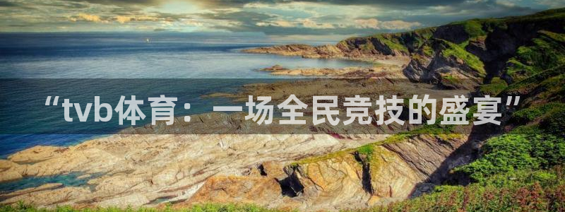 “tvb体育：一场全民竞技的盛宴”